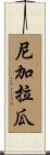 尼加拉瓜 Scroll