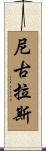 Nichollas Scroll