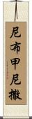 尼布甲尼撒 Scroll