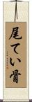 尾てい骨 Scroll