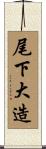 尾下大造 Scroll