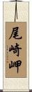 尾崎岬 Scroll