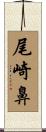 尾崎鼻 Scroll