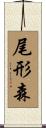 尾形森 Scroll