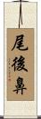 尾後鼻 Scroll
