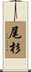 尾杉 Scroll