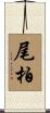 尾柏 Scroll
