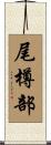 尾樽部 Scroll