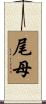 尾母 Scroll