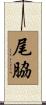 尾脇 Scroll