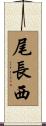 尾長西 Scroll