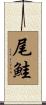 尾鮭 Scroll