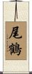 尾鶴 Scroll