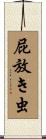 屁放き虫 Scroll