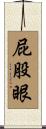 屁股眼 Scroll