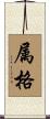 属格 Scroll