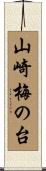 山崎梅の台 Scroll