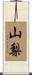 山梨 Scroll
