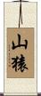 山猿 Scroll
