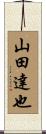 山田達也 Scroll