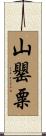 山罌粟 Scroll