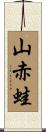 山赤蛙 Scroll