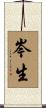 岑生 Scroll