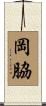岡脇 Scroll