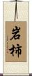 岩柿 Scroll