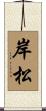 岸松 Scroll
