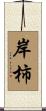 岸柿 Scroll