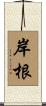 岸根 Scroll