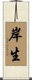 岸生 Scroll