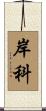 岸科 Scroll