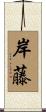岸藤 Scroll