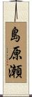 島原瀬 Scroll