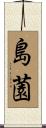 島薗 Scroll
