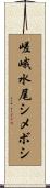 嵯峨水尾シメボシ Scroll