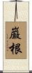 巌根 Scroll