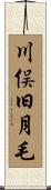 川俣旧月毛 Scroll