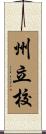 州立校 Scroll