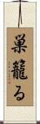 巣籠る Scroll