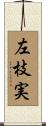 左枝実 Scroll