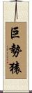 巨勢猿 Scroll