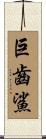 巨齒鯊 Scroll