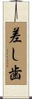 差し歯 Scroll