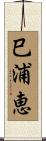 巳浦恵 Scroll