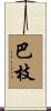 巴枝 Scroll