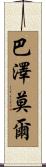 Bazemore Scroll