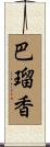 巴瑠香 Scroll